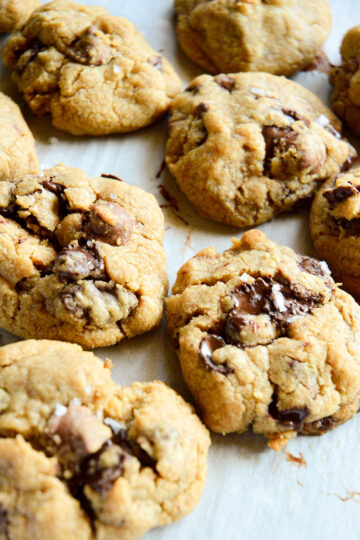 chocolate chip cookies 13 of 16