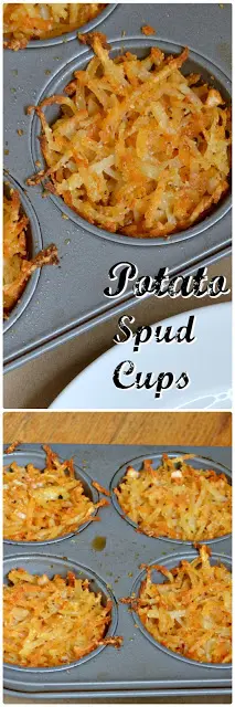 potatospudcupspin 1