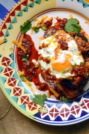 red chile chicken enchiladas 11