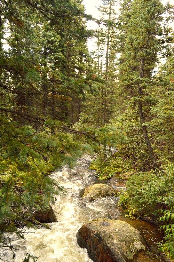 Shwayder Camp