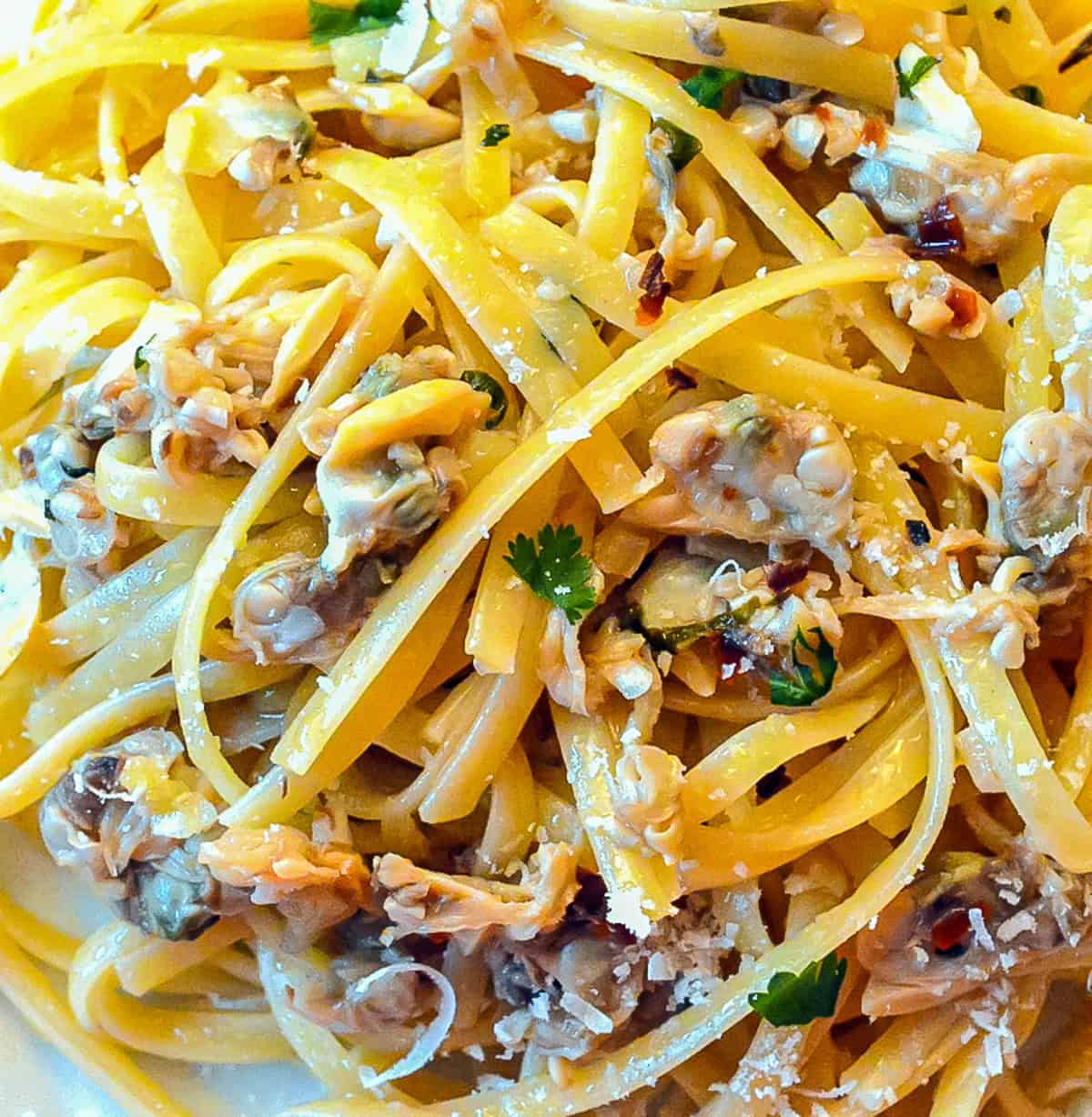 close up of linguine wiith white clam sauce