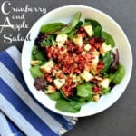 Fresh Cranberry and Apple Salad