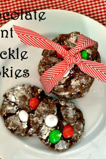 chocolatemintcrackles9 edited 1 1