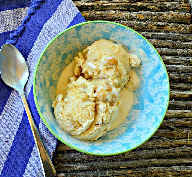 Salted Macadamia Nut Ice Cream