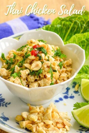 Thai chicken Salad Title 2