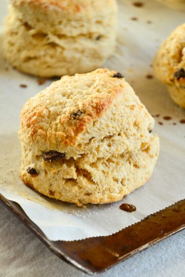 scones 05