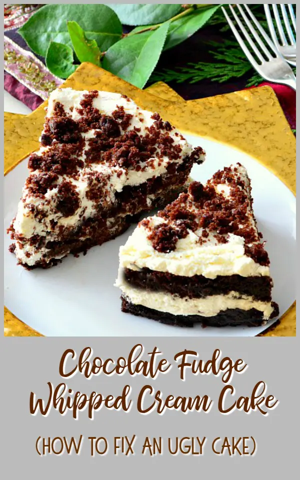 Chocolate Fudge Whipped Cream Cake