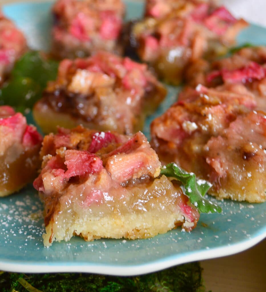 Rhubarb Cookie Bars on Blue Plate