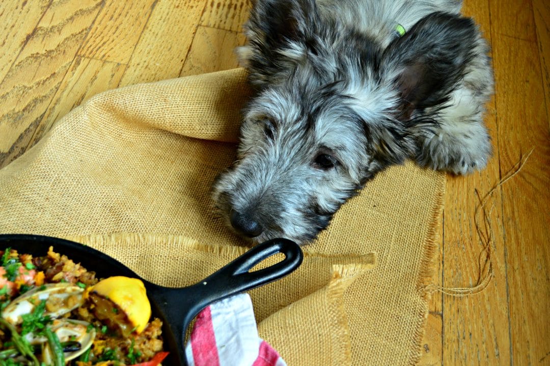Geordie and Paella