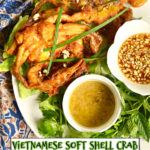 Vietnamese Soft Shell Crab