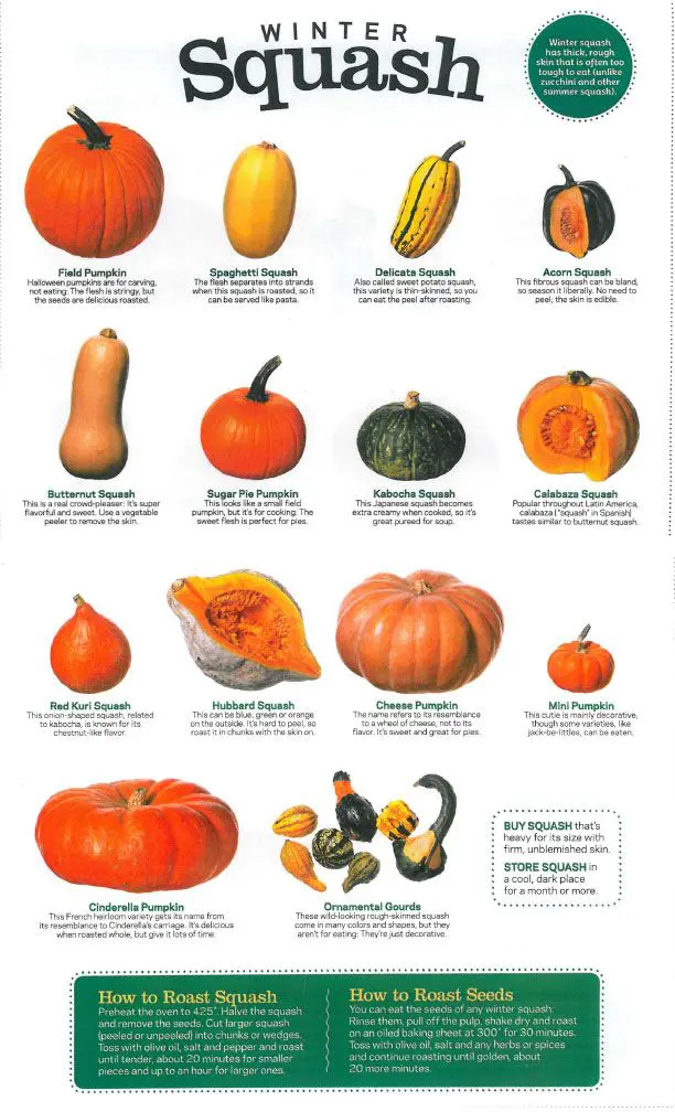 Winter Squash Chart