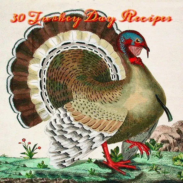 30 Thanksgiving Favorites