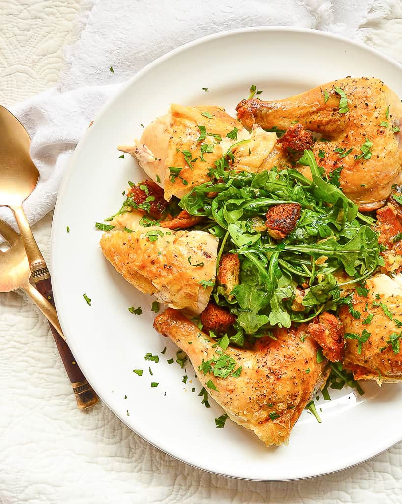 Zuni Cafe Chicken with bread salad on white round plate