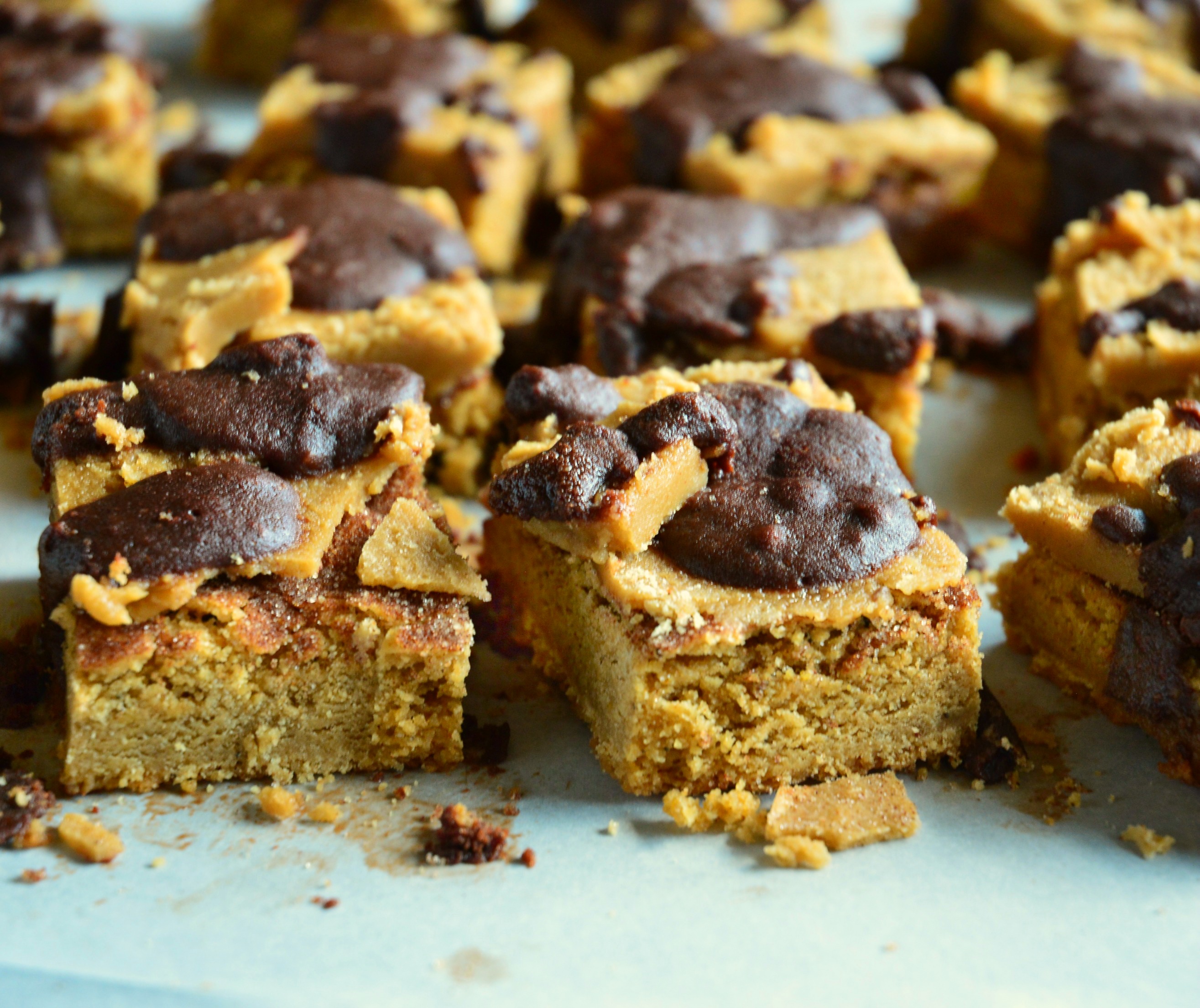 churro bars, cinnamon sugar, penuche frosting, chocolate glaze