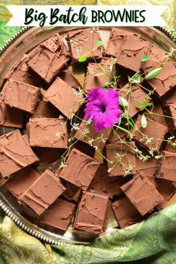 Big Batch Brownies 4350 title