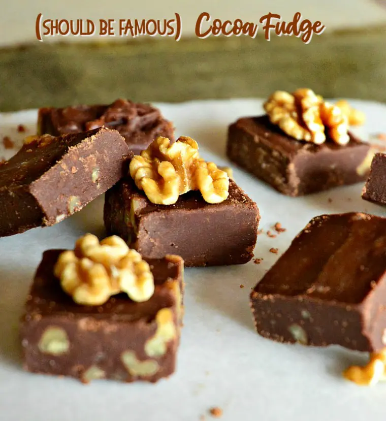 Cocoa-Fudge