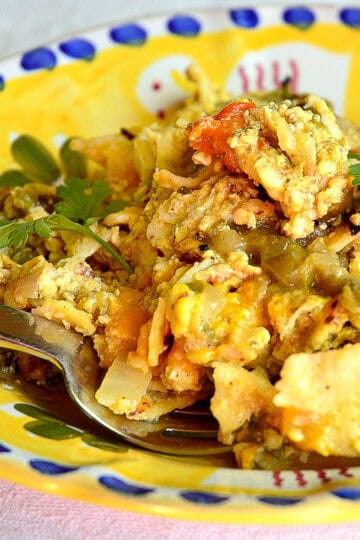 close up of chilaquiles with eggs