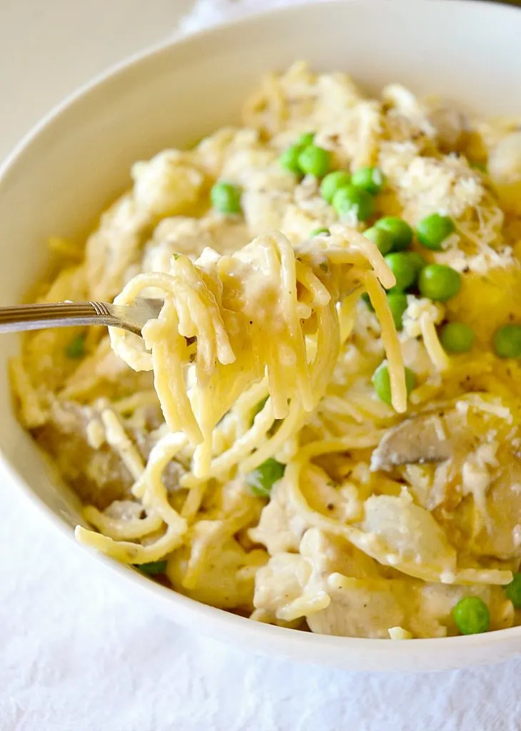 Turkey Tetrazzini