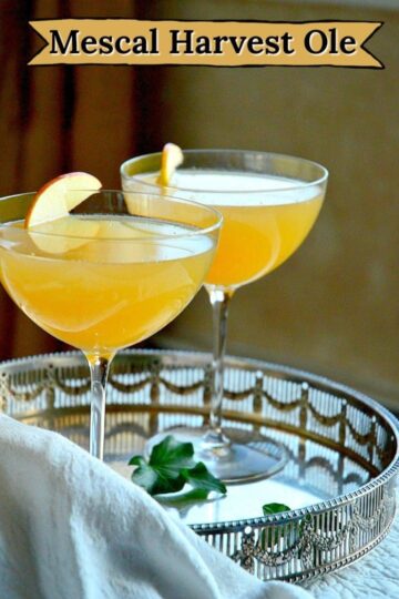 Mezcal Cocktails
