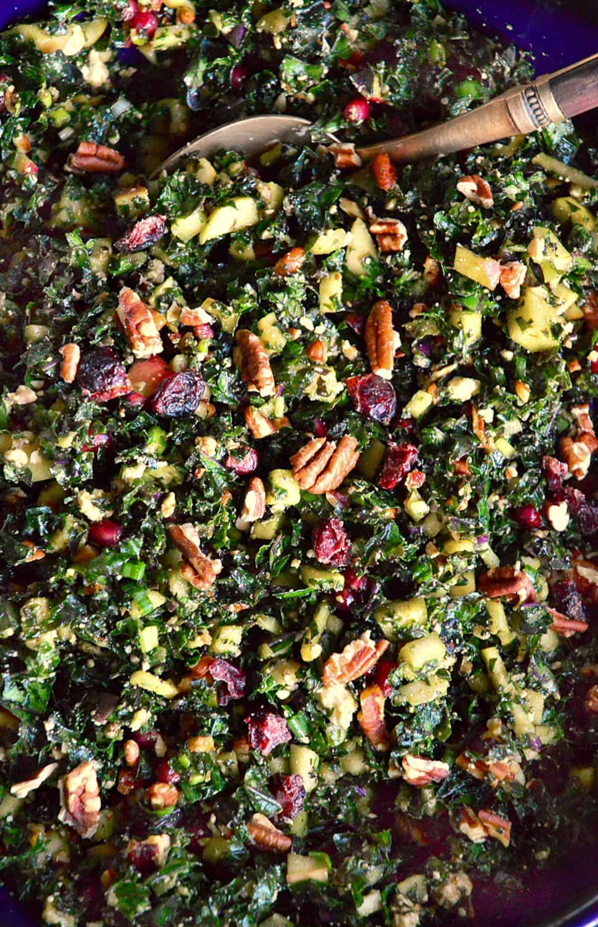 close up of kale salad with toasted pecans and cranberries