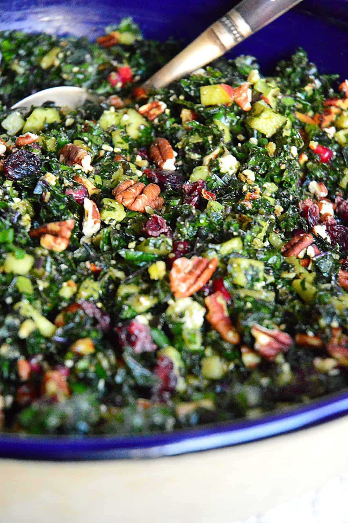 kale salad with cranberries and pecans in blue bowl