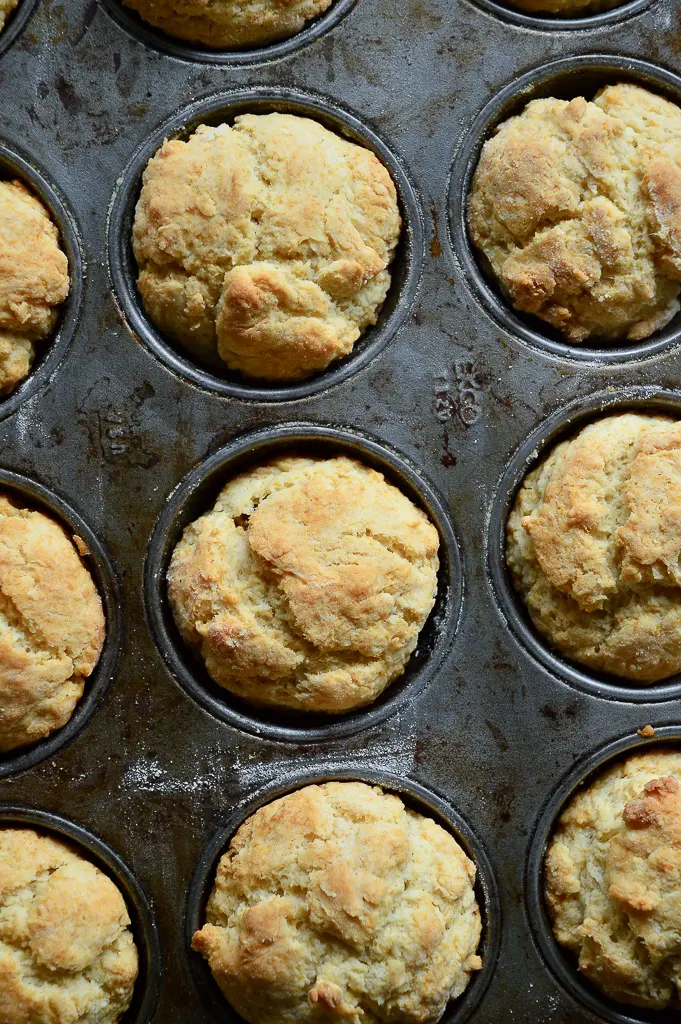 Homemade biscuits in muffin pan