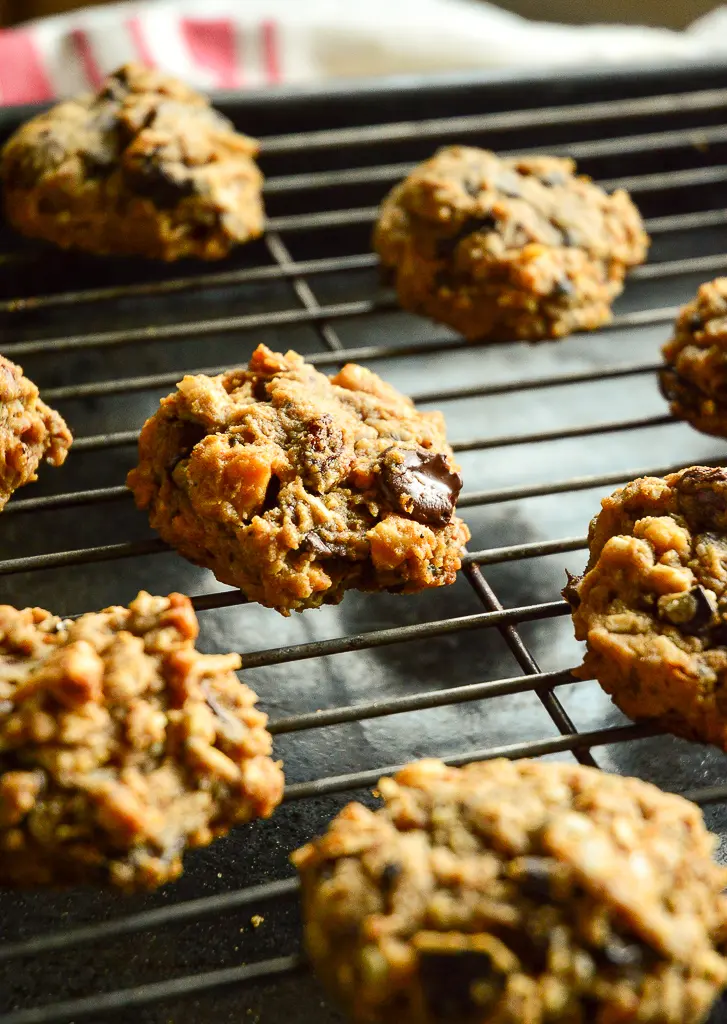 Homemade Chocolate Chip Cookies