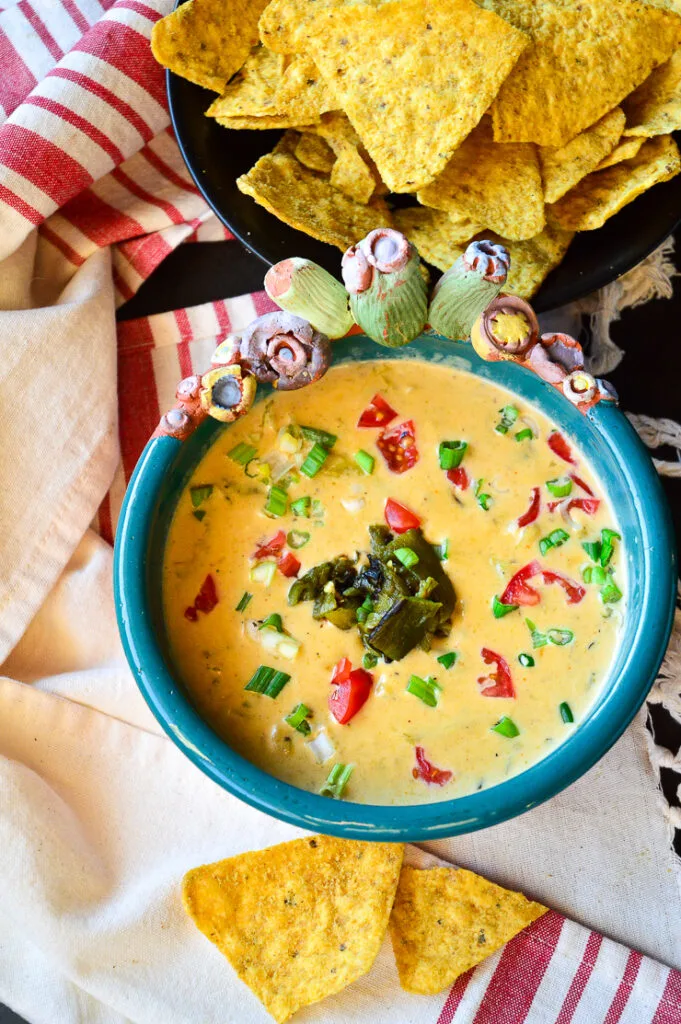 Chile Con Queso in cactus bowl