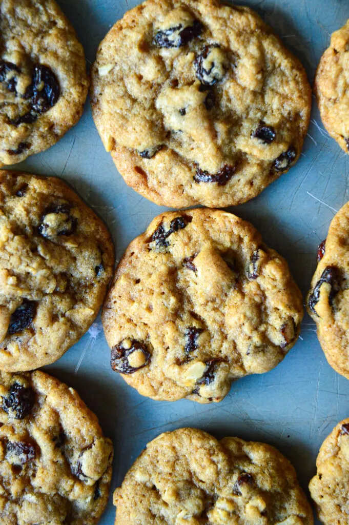 oatmeal raisin walnut cookie recipe