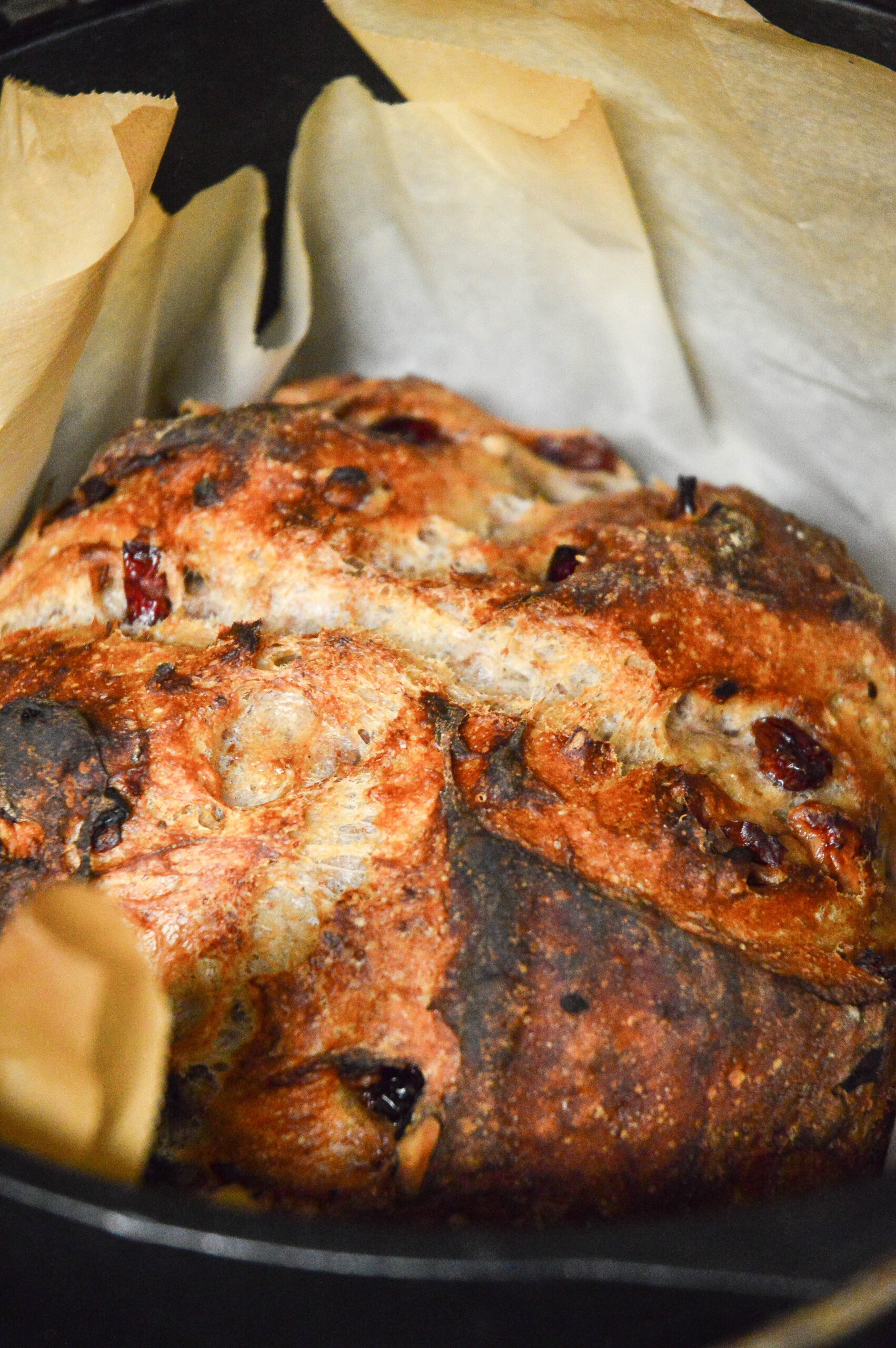 No-Knead Cranberry Walnut Bread Recipe - This Is How I Cook