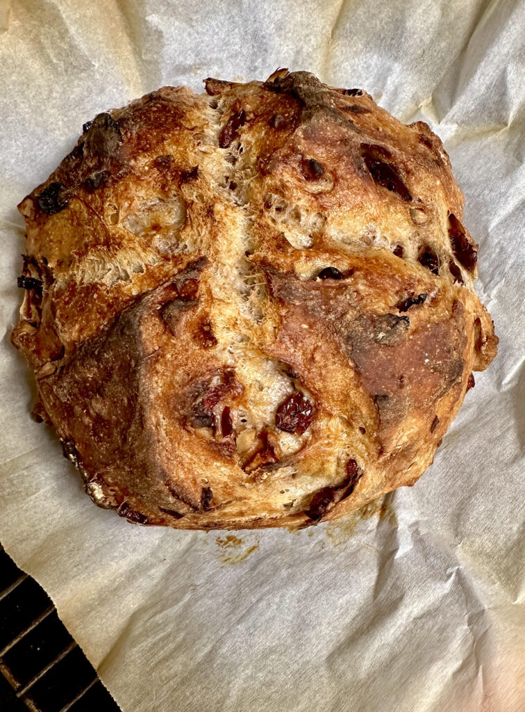 cranberry walnut no knead bread round