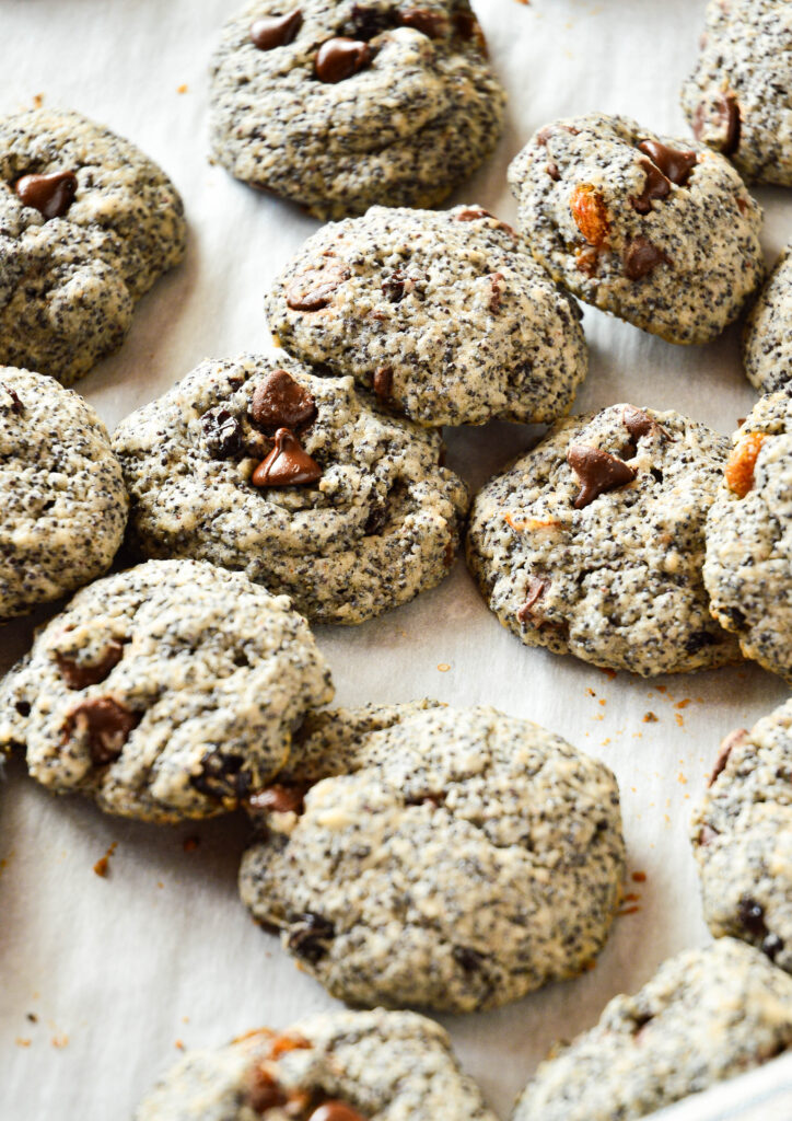 poppy seed cookies on baking sheet