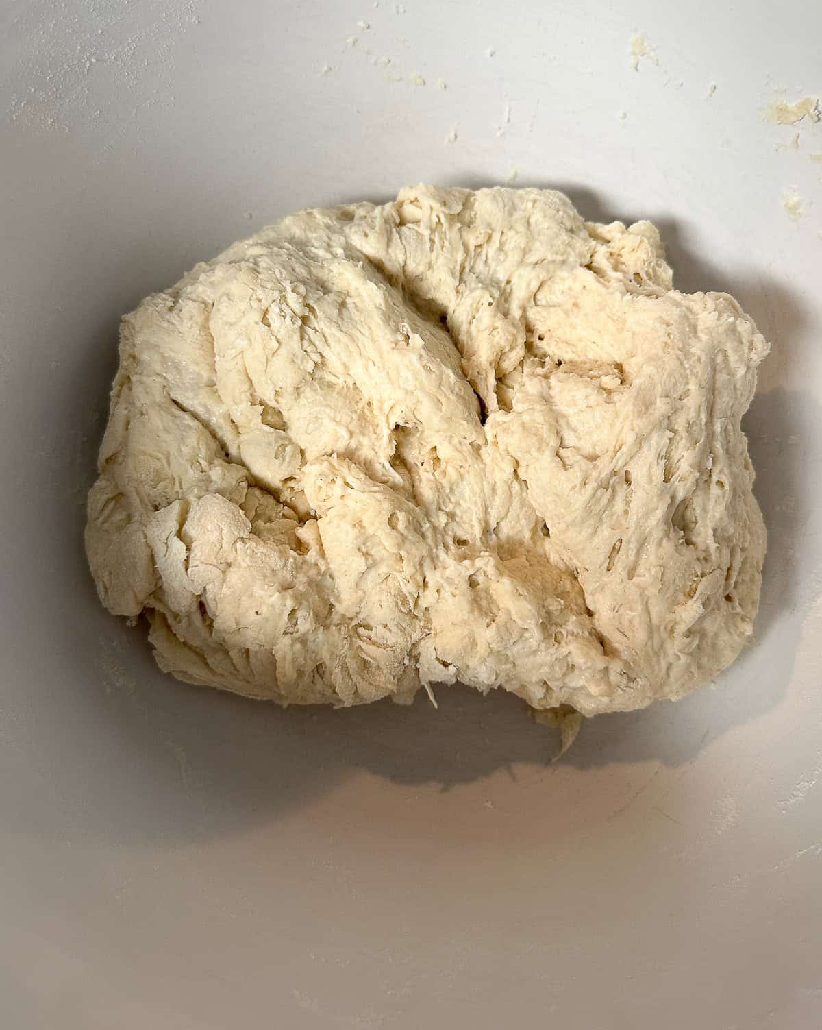 shaggy tacky cinnamon roll focaccia dough before rising