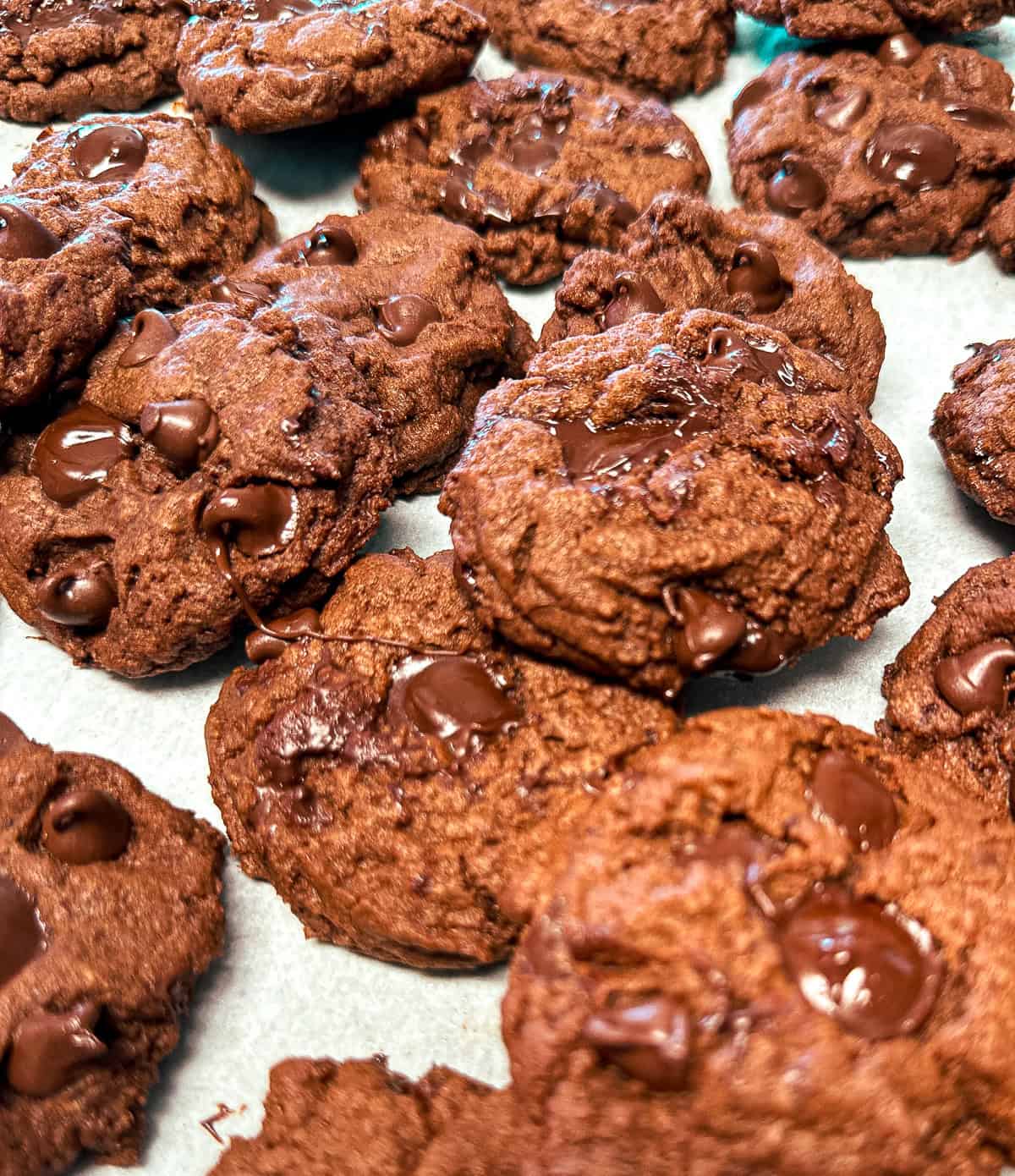 fresh from cookies on cookie sheet