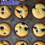 blueberry muffin pins