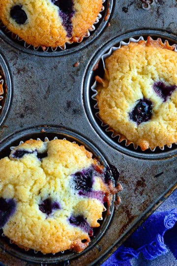 blueberry muffins in tin