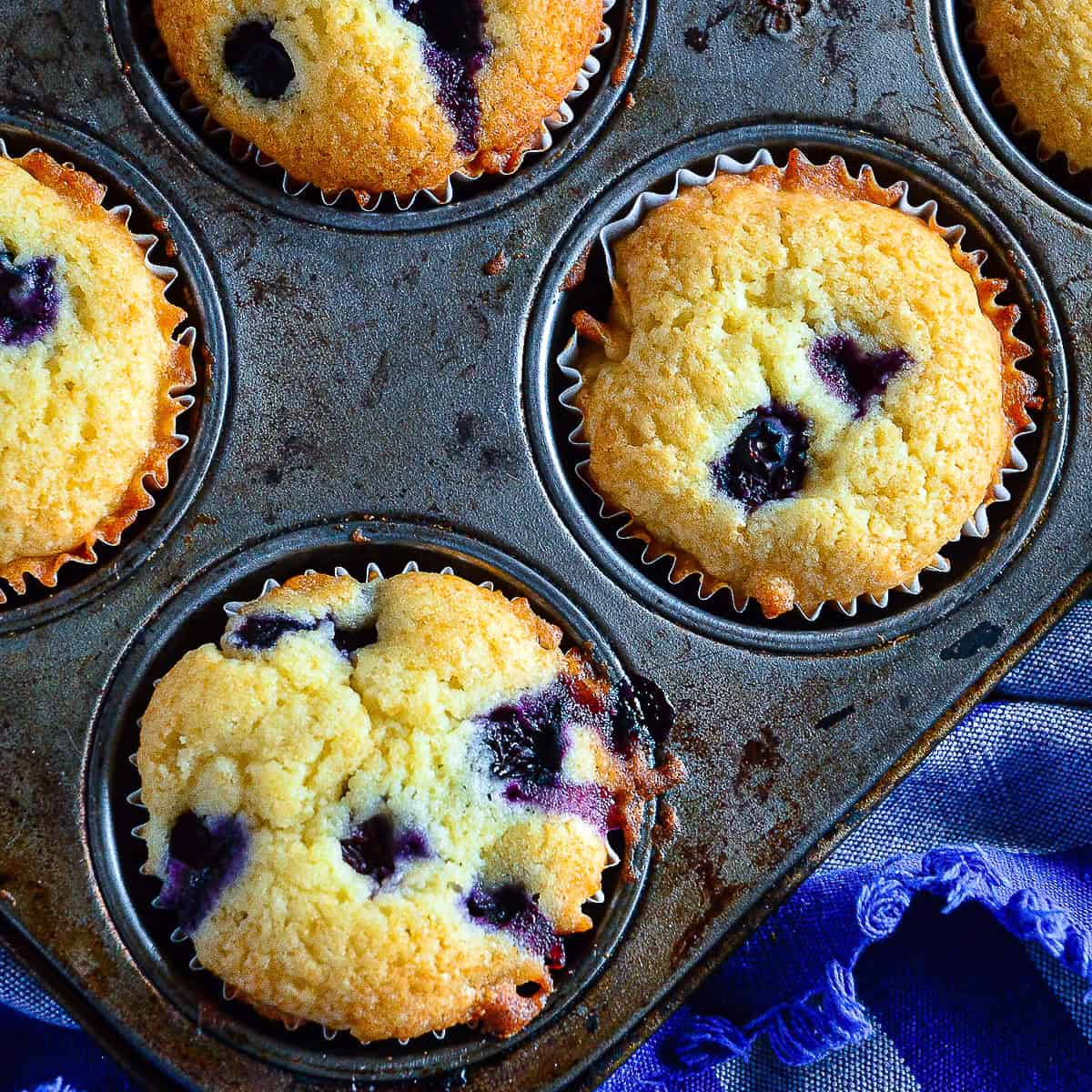 the best blueberry muffins recipe shown in muffin tin